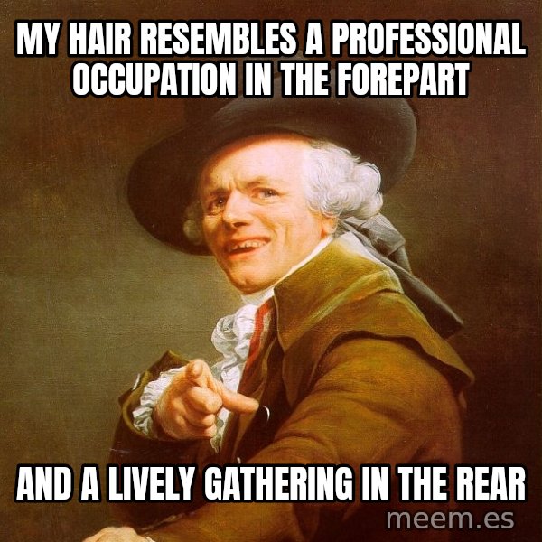 Joseph Ducreux meme: My hair resembles a professional occupation in the forepart / and a lively gathering in the rear