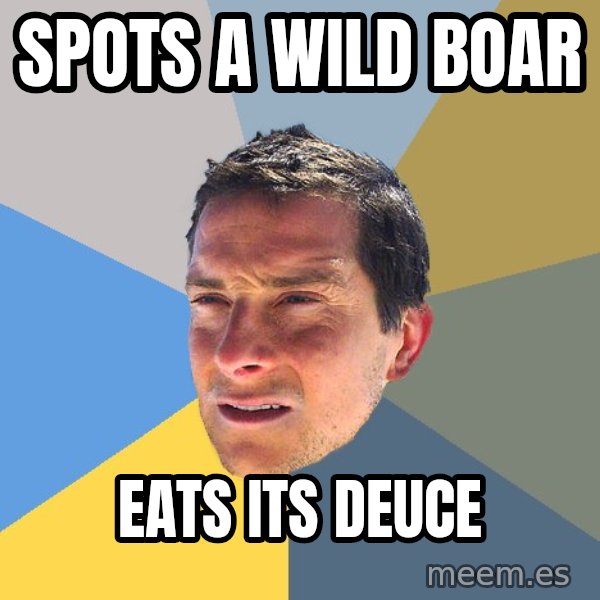 Bear Grylls meme: spots a wild boar / eats its deuce