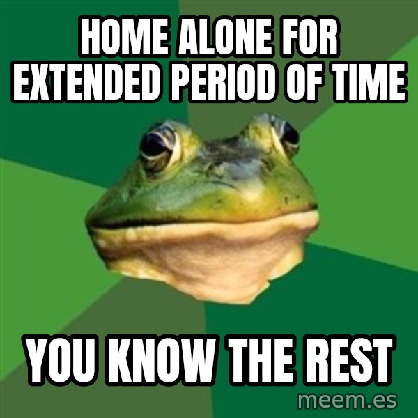 Foul Bachelor Frog meme: home alone for extended period of time / you know the rest