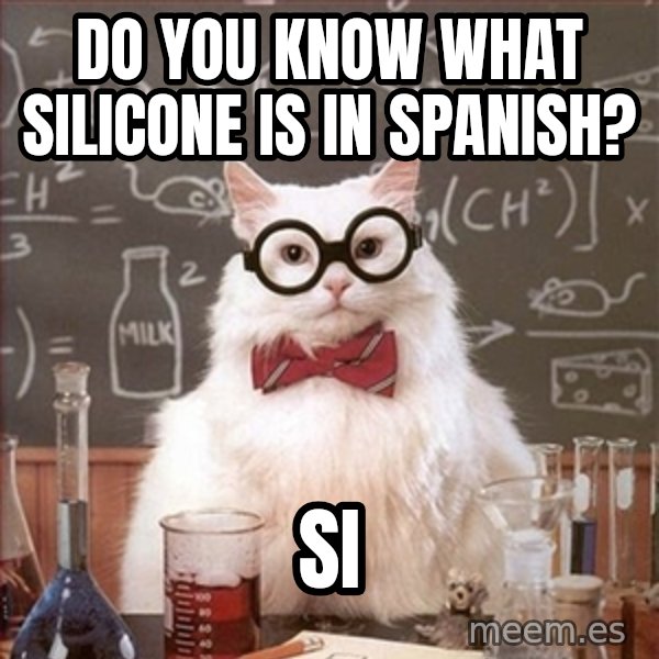 Science Cat meme: Do you know what Silicone is in Spanish? / Si