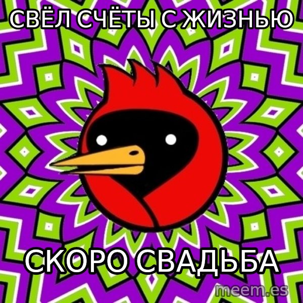 Omsk Crow meme: свёл счёты с жизнью / скоро свадьба