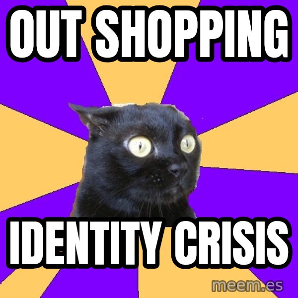 Anxiety Cat meme: out shOPPING / identity crisis