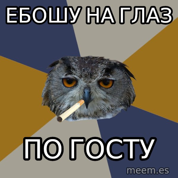Art Student Owl meme: ебошу на глаз / по госту