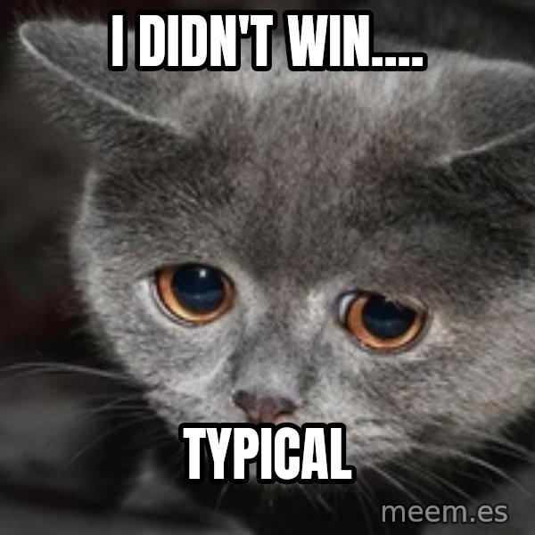 Sadcat meme: I didn't win.... / typical