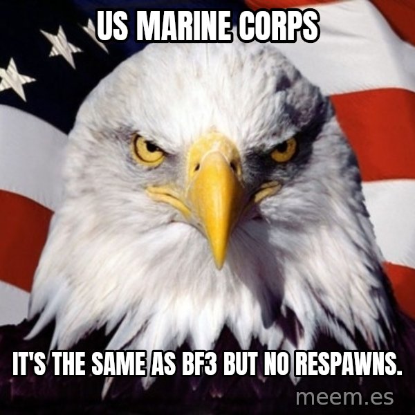 American Pride Eagle meme: us marine corps / it's the same as bf3 but no respawns.