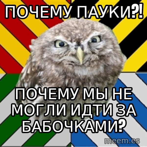 JEALOUS POTTEROMAN meme: Почему пауки?! / почему мы не могли идти за бабочками?