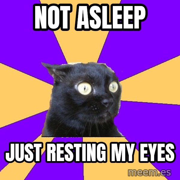 Anxiety Cat meme: Not asleep / just resting my eyes
