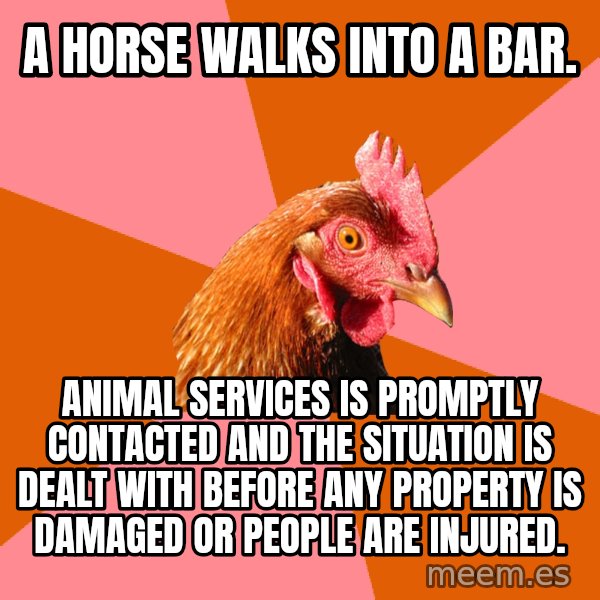 Anti Joke Chicken meme: A horse walks into a bar. / Animal services is promptly contacted and the situation is dealt with before any property is damaged or people are injured.