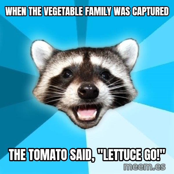 Lame Pun Coon meme: when the vegetable family was captured / the tomato said, "Lettuce go!"