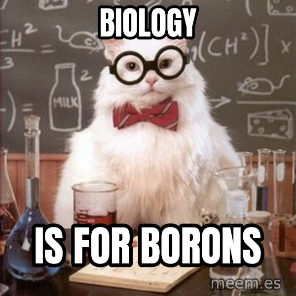 Chemistry Cat meme: biology / is for borons