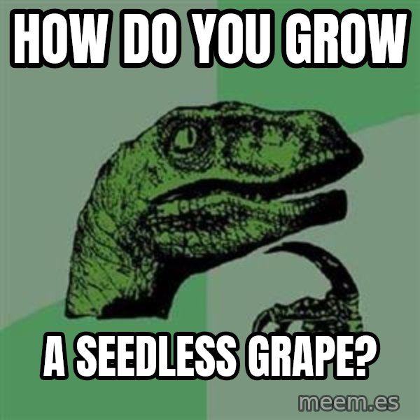 Philosoraptor meme: How do you grow / a seedless grape?