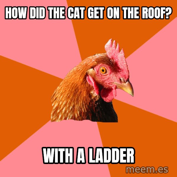 Anti Joke Chicken meme: how did the cat get on the roof? / with a ladder