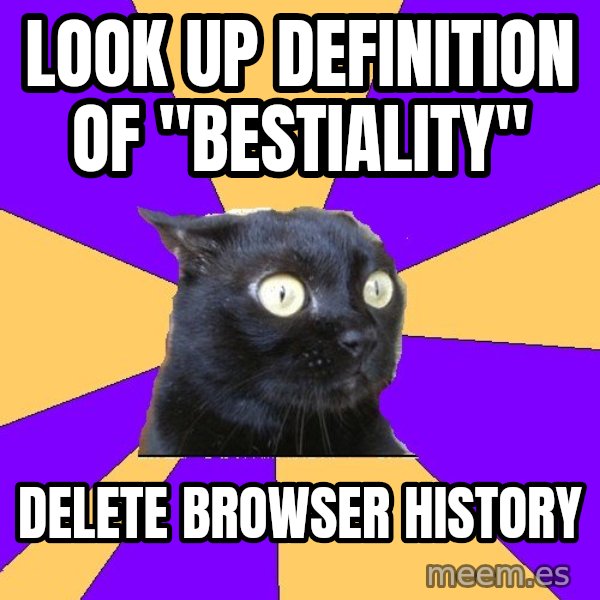 Anxiety Cat meme: look up definition of "bestiality" / delete browser history