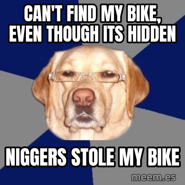 Racist Dog meme: can't find my bike, even though its hidden / niggers stole my bike