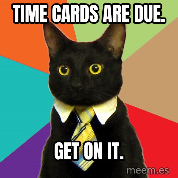 Business Cat meme: Time cards are due. / Get on it.