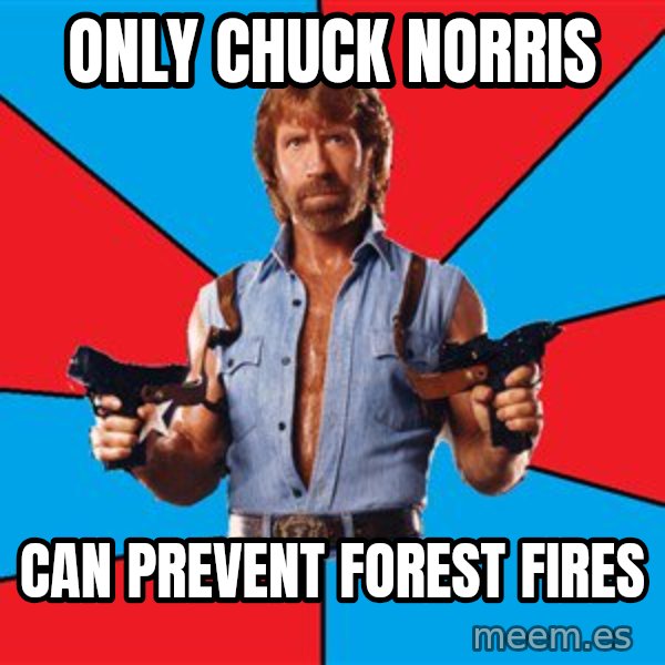 Chuck Norris  meme: Only chuck norris / can prevent forest fires