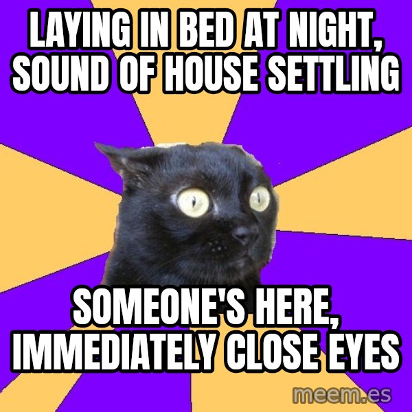 Anxiety Cat meme: laying in bed at night, sound of house settling / someone's here, immediately close eyes