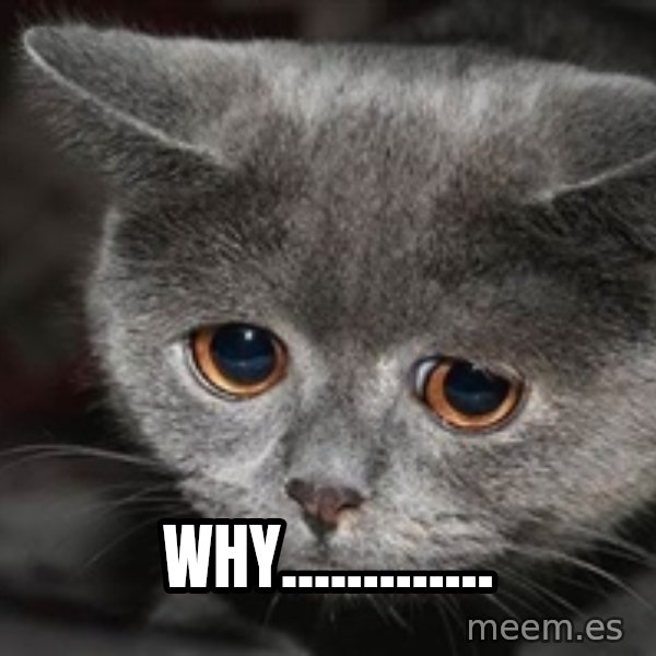 Sadcat meme: Why.............