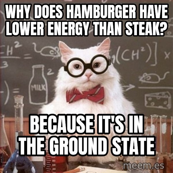 Science Cat meme: Why does hamburger have lower energy than steak? / Because it's in the ground state
