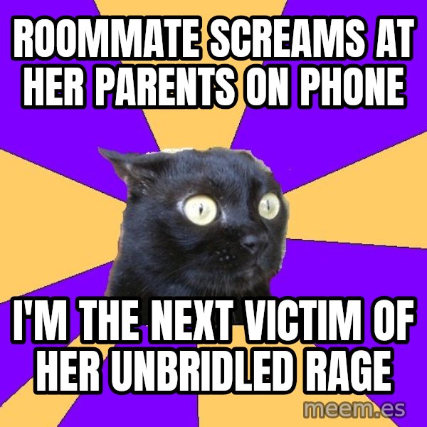 Anxiety Cat meme: roommate screams at her parents on phone / I'm the next victim of her unbridled rage