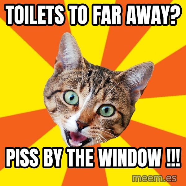 Bad Advice Cat meme: Toilets to far away? / Piss by the window !!!