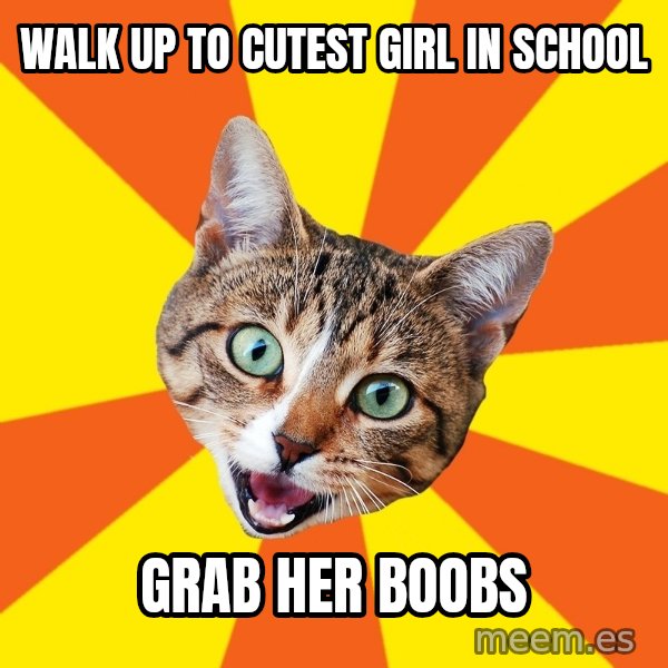 Bad Advice Cat meme: Walk up to cutest girl in school / Grab her boobs