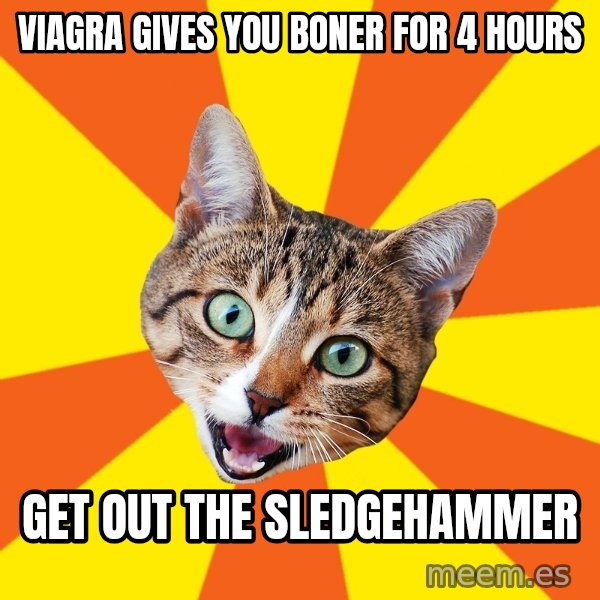 Bad Advice Cat meme: Viagra gives you boner for 4 hours / get out the sledgehammer