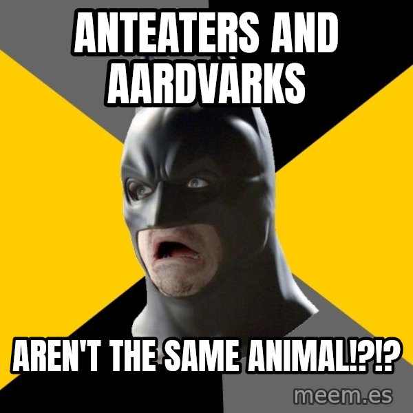 Bad Factman meme: Anteaters and aardvarks / aren't the same animal!?!?