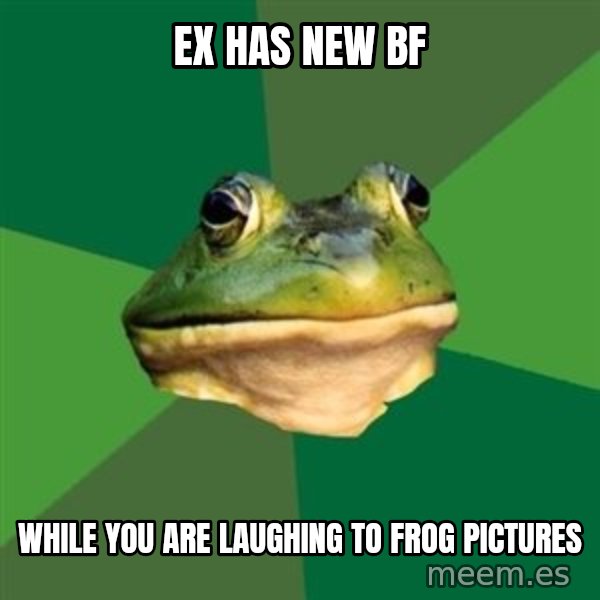 Foul Bachelor Frog meme: EX has new bf / WHILE you are laughing to frog pictures