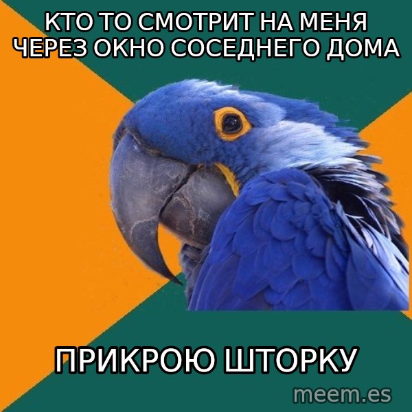 Paranoid Parrot meme: кто то смотрит на меня через окно соседнего дома / прикрою шторку