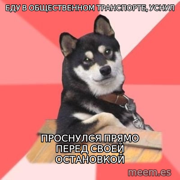 Cool Dog meme: еду в общественном транспорте, уснул / проснулся прямо перед  своей остановкой