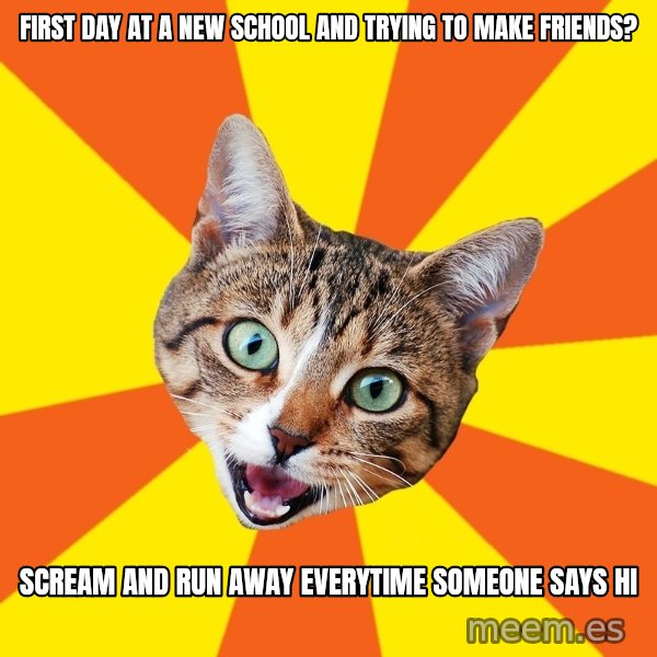 Bad Advice Cat meme: First day at a new school and trying to make friends? / Scream and run away everytime someone says hi