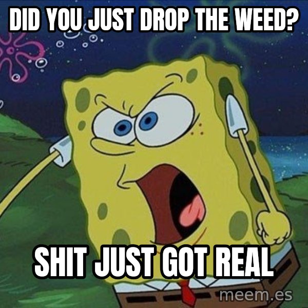 Spongebob Rage meme: did you just drop the weed? / shit just got real