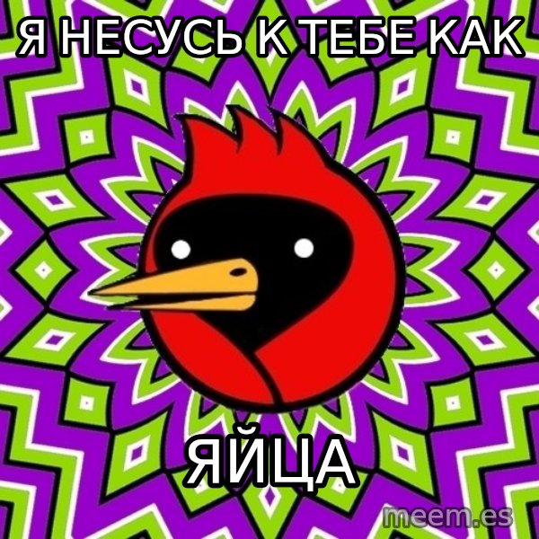 Omsk Crow meme: я несусь                к тебе как / яйца