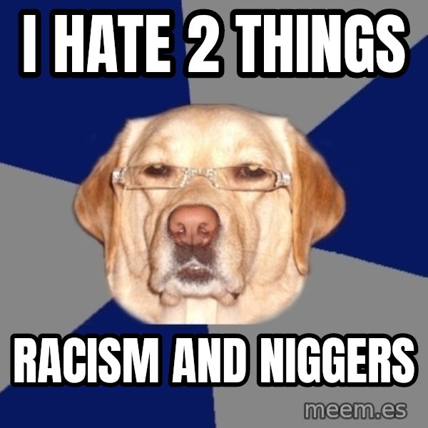 Racist Dog meme: i hate 2 things / racism and niggers