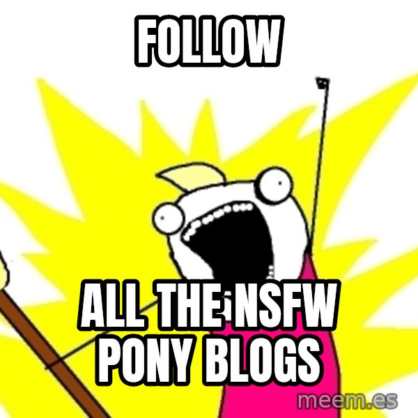 X ALL THE THINGS meme: Follow / all the NSFW Pony blogs