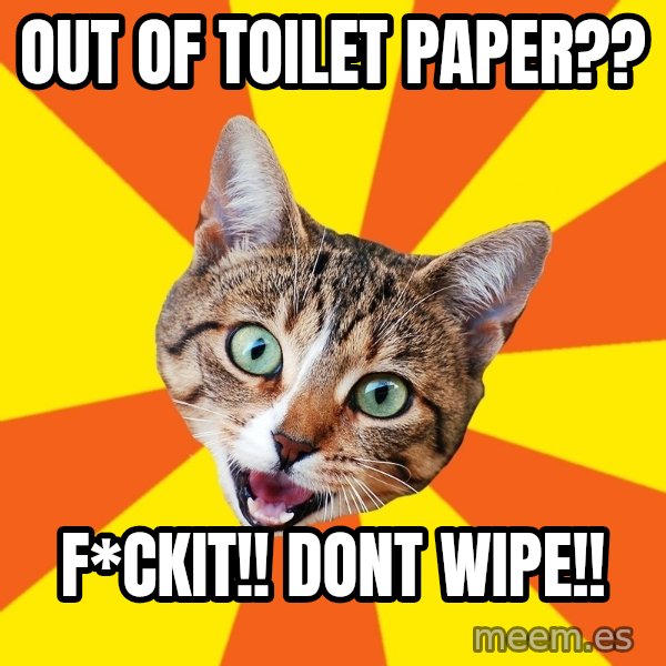 Bad Advice Cat meme: OUt of toilet paper?? / F*ckiT!! dont wipe!!