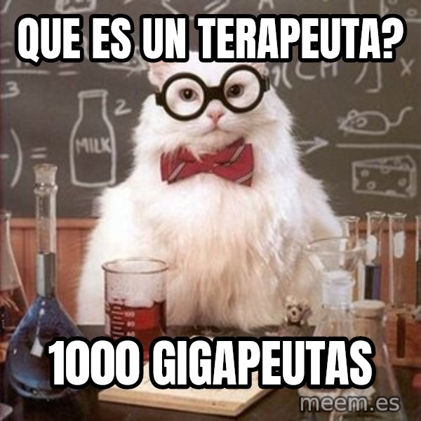 Chemistry Cat meme: que es un terapeuta? / 1000 gigapeutas