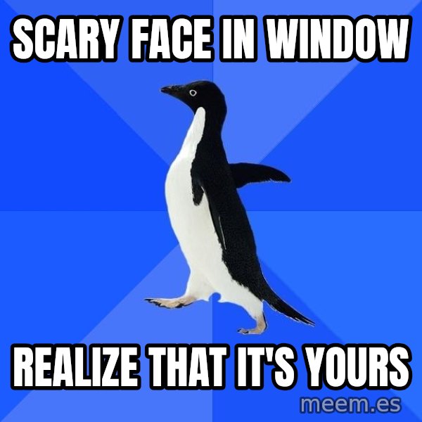 Socially Awkward Penguin meme: Scary Face in window / Realize that it's yours