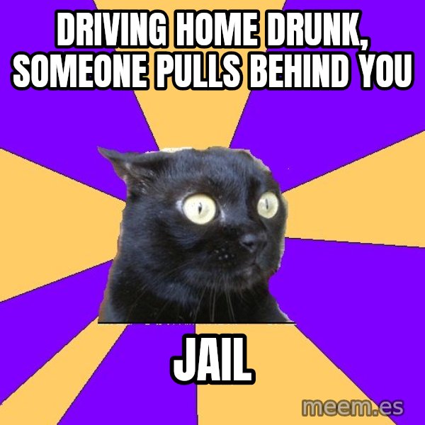 Anxiety Cat meme: driving home drunk, someone pulls behind you / jail