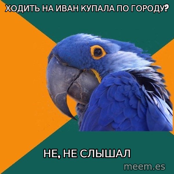 Paranoid Parrot meme: ходить на иван купала по городу? / не, не слышал
