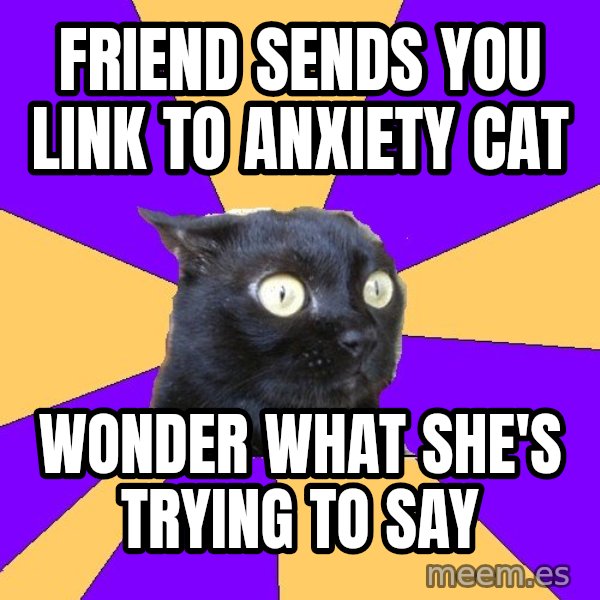Anxiety Cat meme: Friend sends you link to Anxiety cat / wonder what she's trying to say