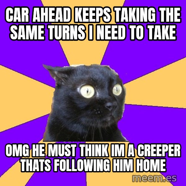 Anxiety Cat meme: car ahead keeps taking the same turns i need to take / omg he must think im a creeper thats following him home