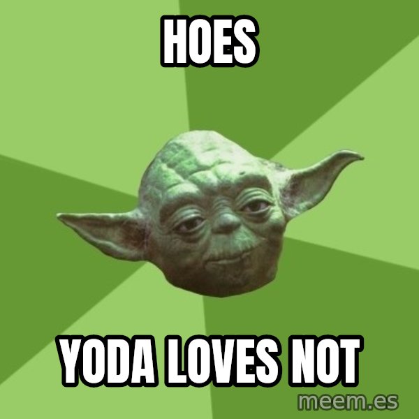 Advice Yoda Gives meme: HOES / YODA LOVES NOT