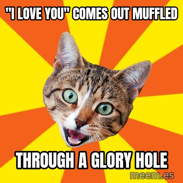 Bad Advice Cat meme: "I love you" comes out muffled / THROUGH A GLORY HOLE