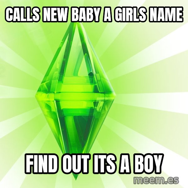 Sims meme: Calls new baby a girls name / Find out its a boy