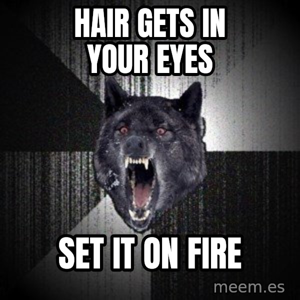 Insanity Wolf meme: HAIR GETS IN YOUR EYES / SET IT ON FIRE