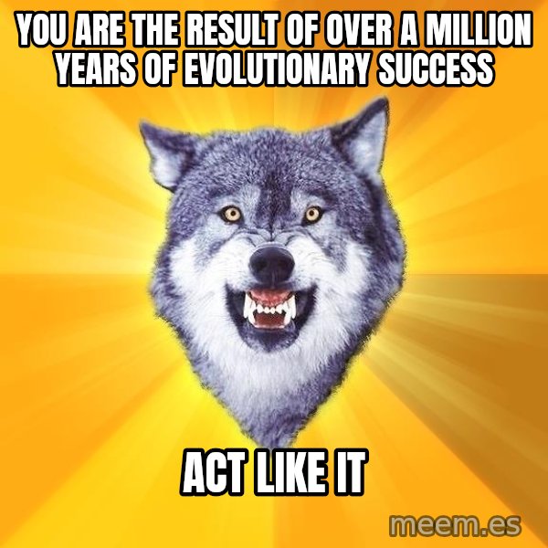 Courage Wolf meme: You are the result of over a million years of evolutionary success / Act Like It