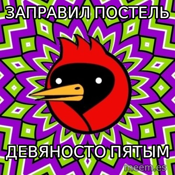 Omsk Crow meme: Заправил постель / девяносто пятым
