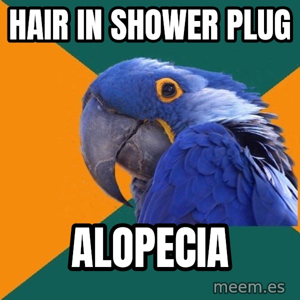 Paranoid Parrot meme: Hair in shower plug / alopecia